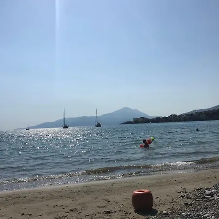 Daire D' Amico Sapri